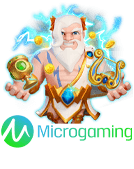 microgaming PATI234